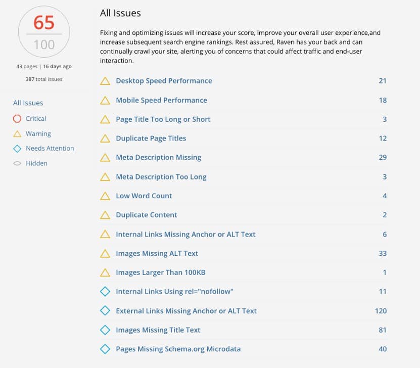 RavenTools seo audit